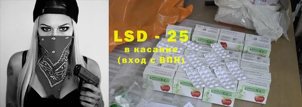 эйфоретик Инта