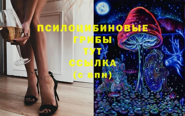 гидропоника Тобольск